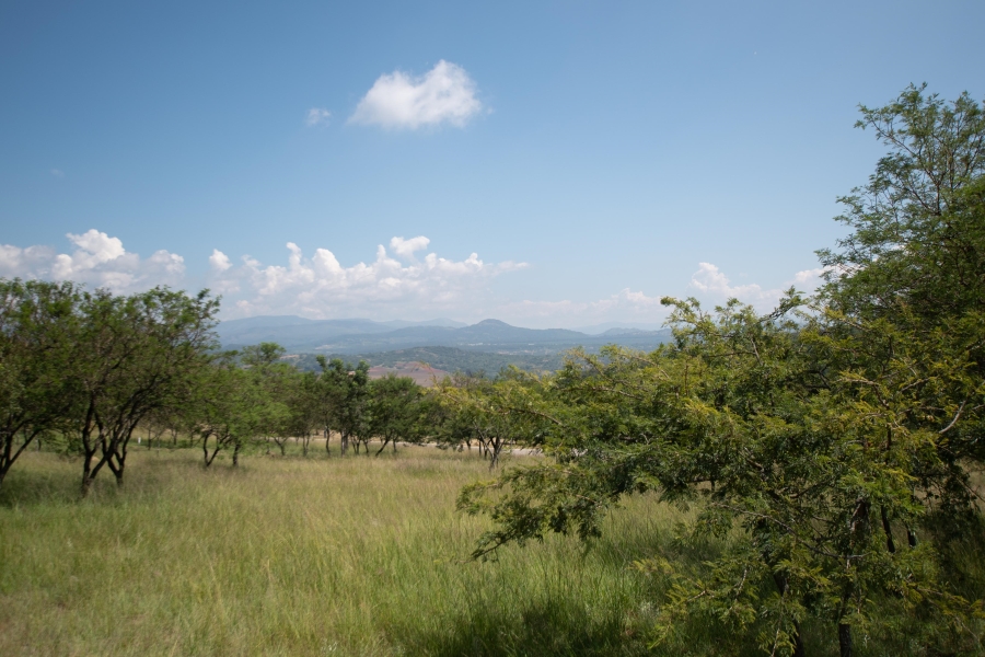 0 Bedroom Property for Sale in The Rest Nature Estate Mpumalanga