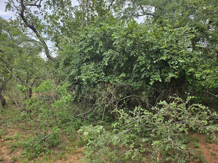 0 Bedroom Property for Sale in Marloth Park Mpumalanga