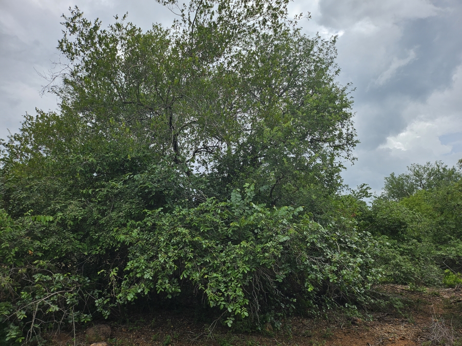 0 Bedroom Property for Sale in Marloth Park Mpumalanga