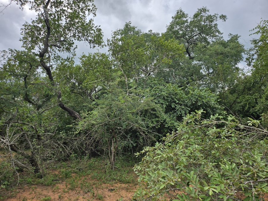 0 Bedroom Property for Sale in Marloth Park Mpumalanga