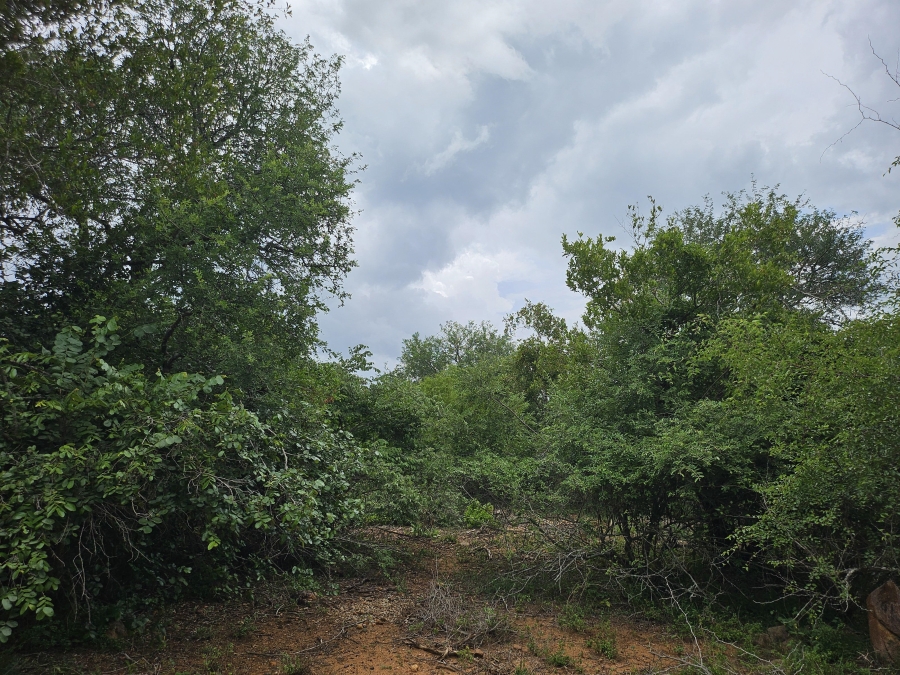 0 Bedroom Property for Sale in Marloth Park Mpumalanga