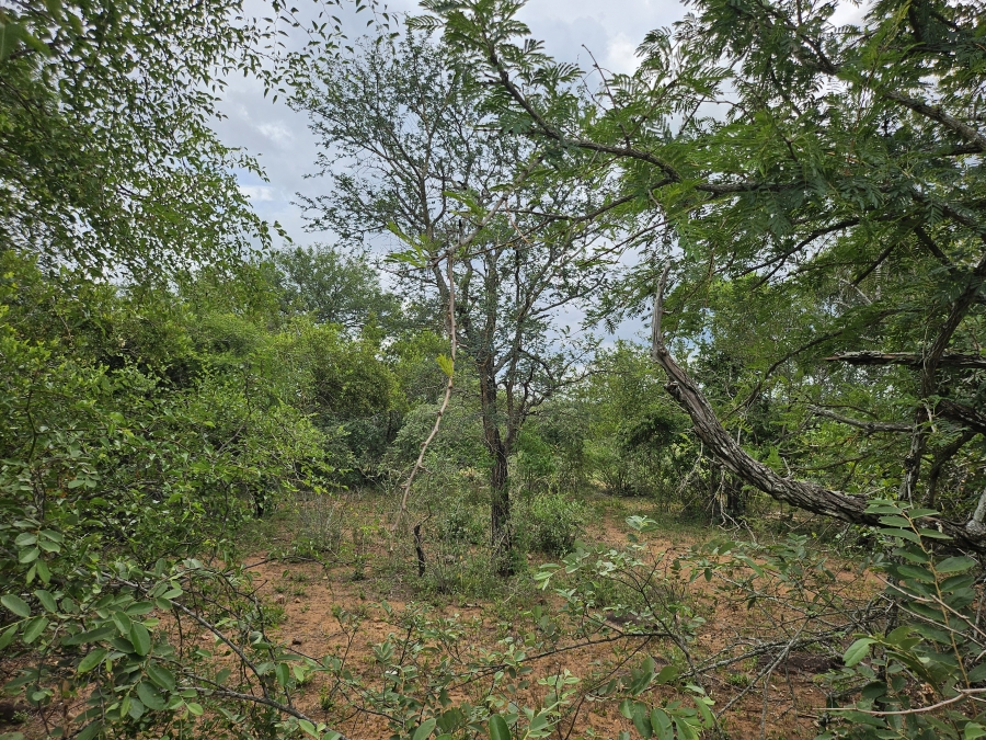 0 Bedroom Property for Sale in Marloth Park Mpumalanga