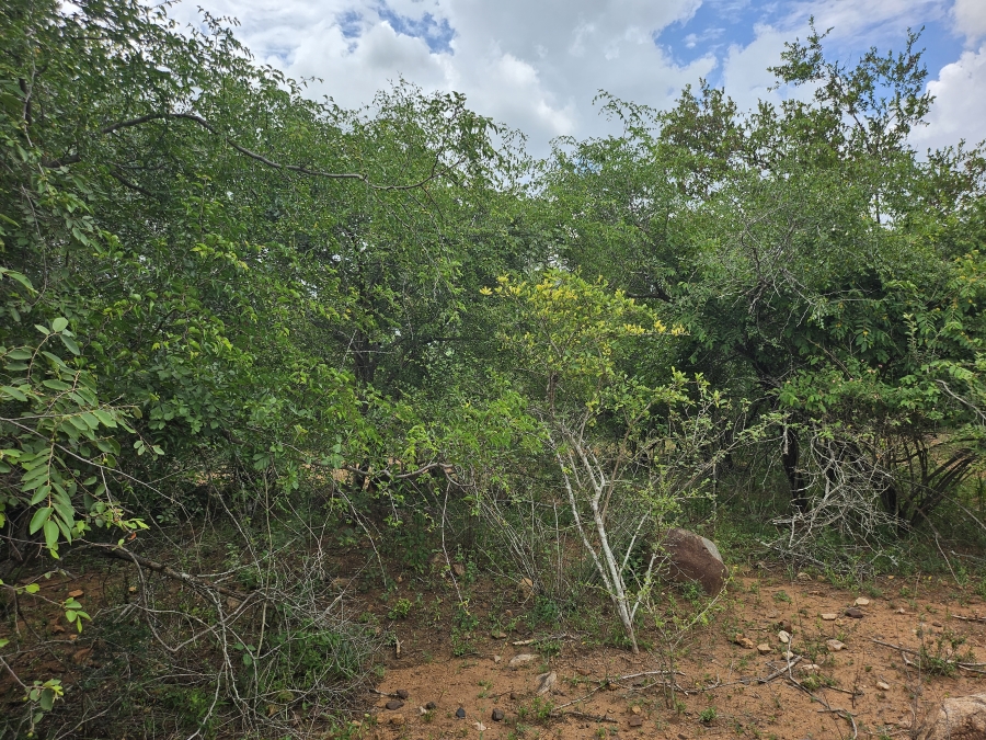 0 Bedroom Property for Sale in Marloth Park Mpumalanga