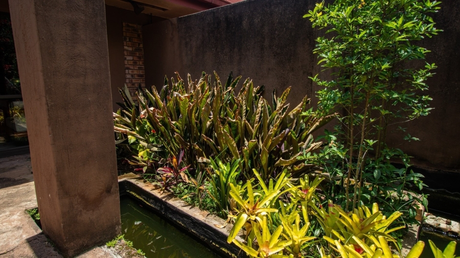 Commercial Property for Sale in White River Ext 5 Mpumalanga