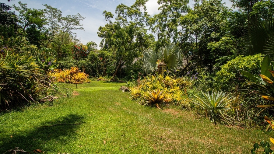 Commercial Property for Sale in White River Ext 5 Mpumalanga