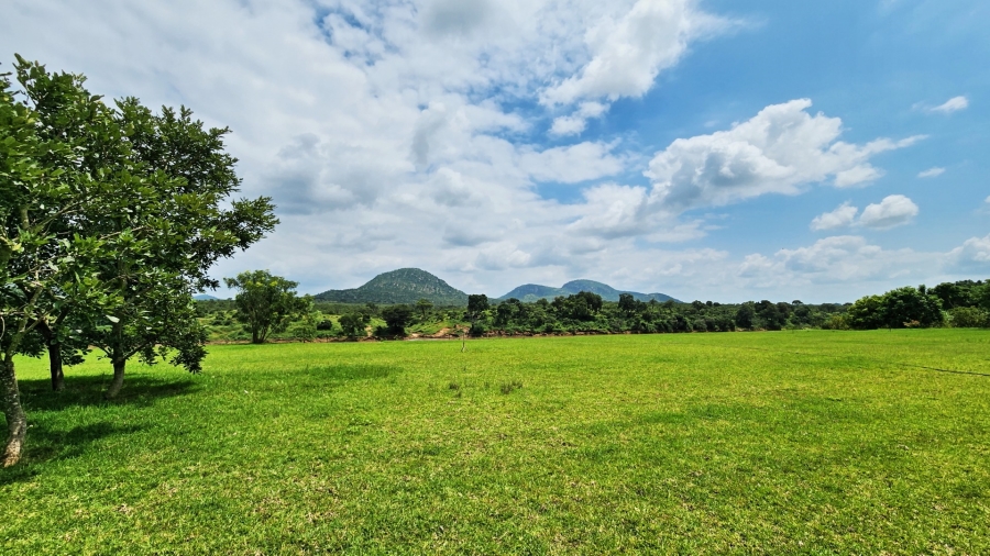 0 Bedroom Property for Sale in Malelane Mpumalanga