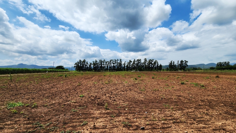 0 Bedroom Property for Sale in Malelane Mpumalanga