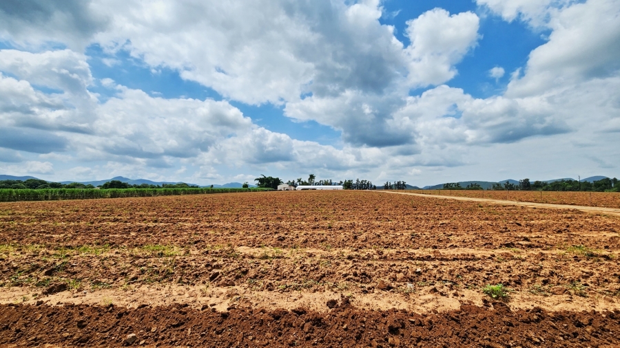 0 Bedroom Property for Sale in Malelane Mpumalanga