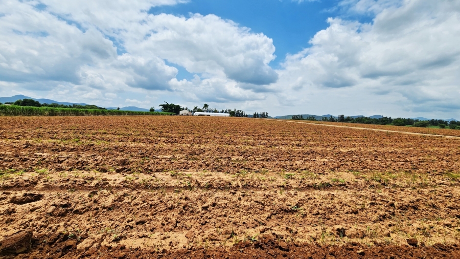 0 Bedroom Property for Sale in Malelane Mpumalanga