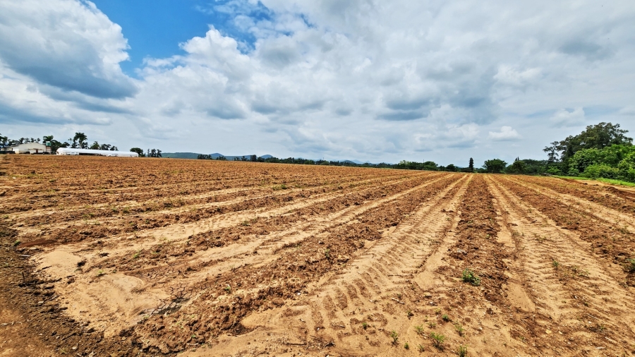 0 Bedroom Property for Sale in Malelane Mpumalanga