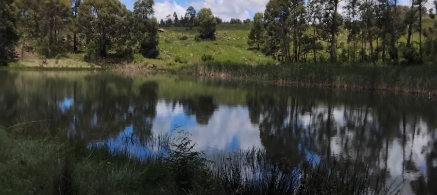 Commercial Property for Sale in Machadodorp Mpumalanga