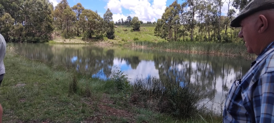 Commercial Property for Sale in Machadodorp Mpumalanga