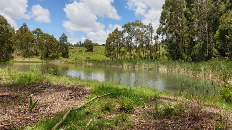 Commercial Property for Sale in Machadodorp Mpumalanga