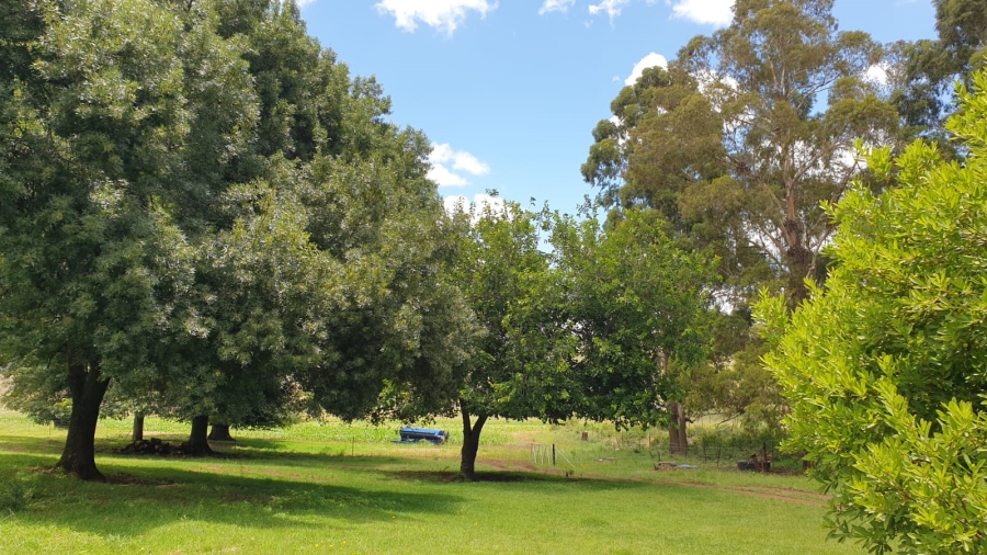 Commercial Property for Sale in Machadodorp Mpumalanga