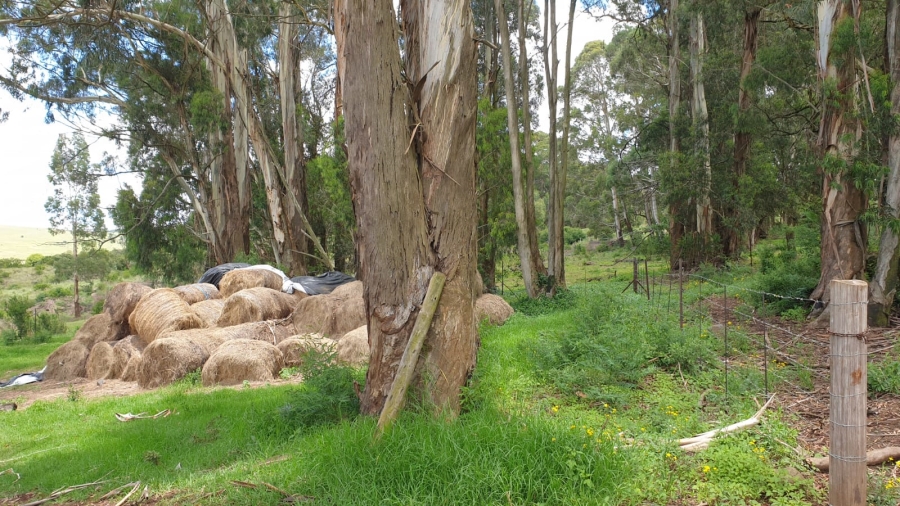 Commercial Property for Sale in Machadodorp Mpumalanga