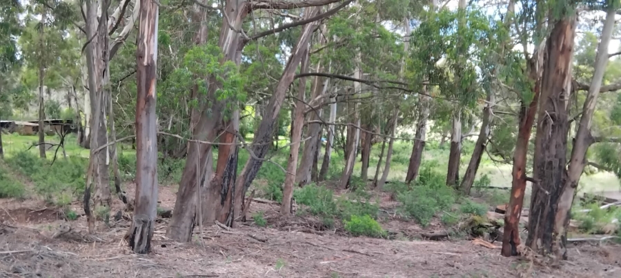 Commercial Property for Sale in Machadodorp Mpumalanga