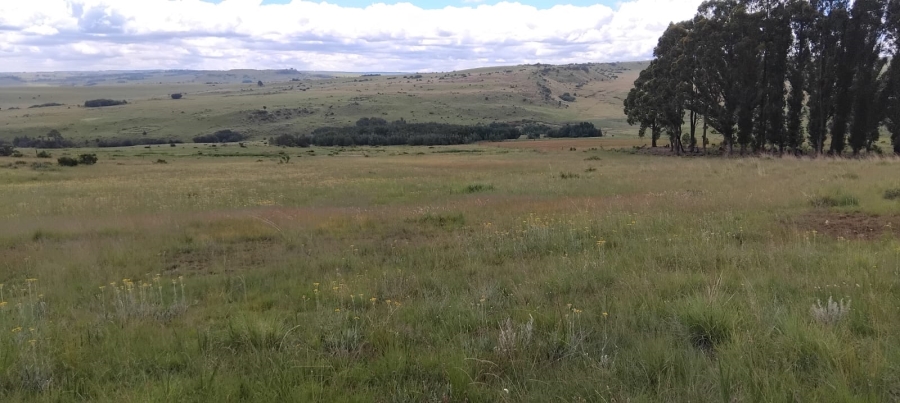 Commercial Property for Sale in Machadodorp Mpumalanga