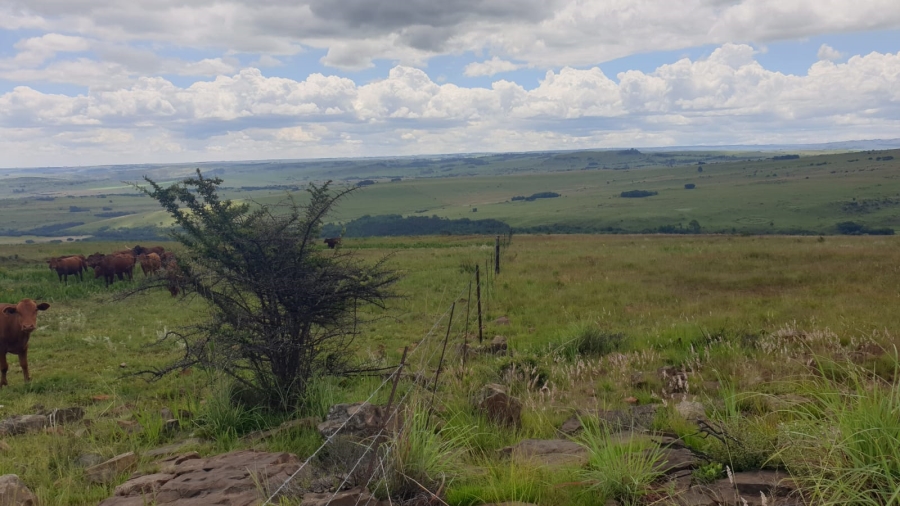 Commercial Property for Sale in Machadodorp Mpumalanga