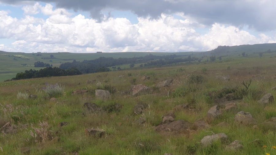 Commercial Property for Sale in Machadodorp Mpumalanga