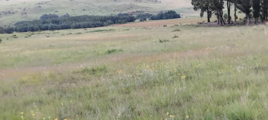 Commercial Property for Sale in Machadodorp Mpumalanga