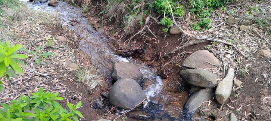 Commercial Property for Sale in Machadodorp Mpumalanga