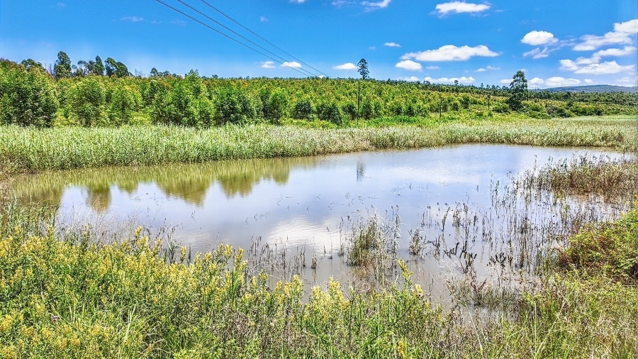 Commercial Property for Sale in White River Rural Mpumalanga