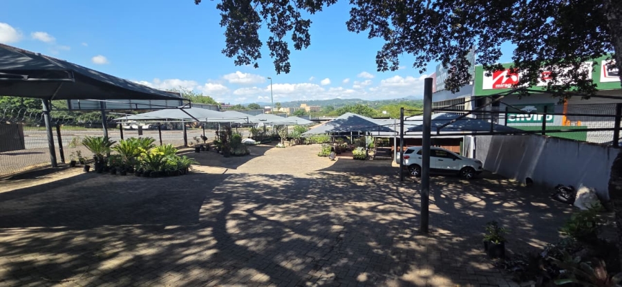 To Let commercial Property for Rent in Nelspruit Mpumalanga