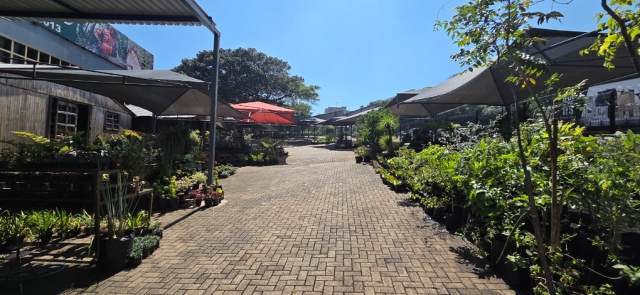To Let commercial Property for Rent in Nelspruit Mpumalanga