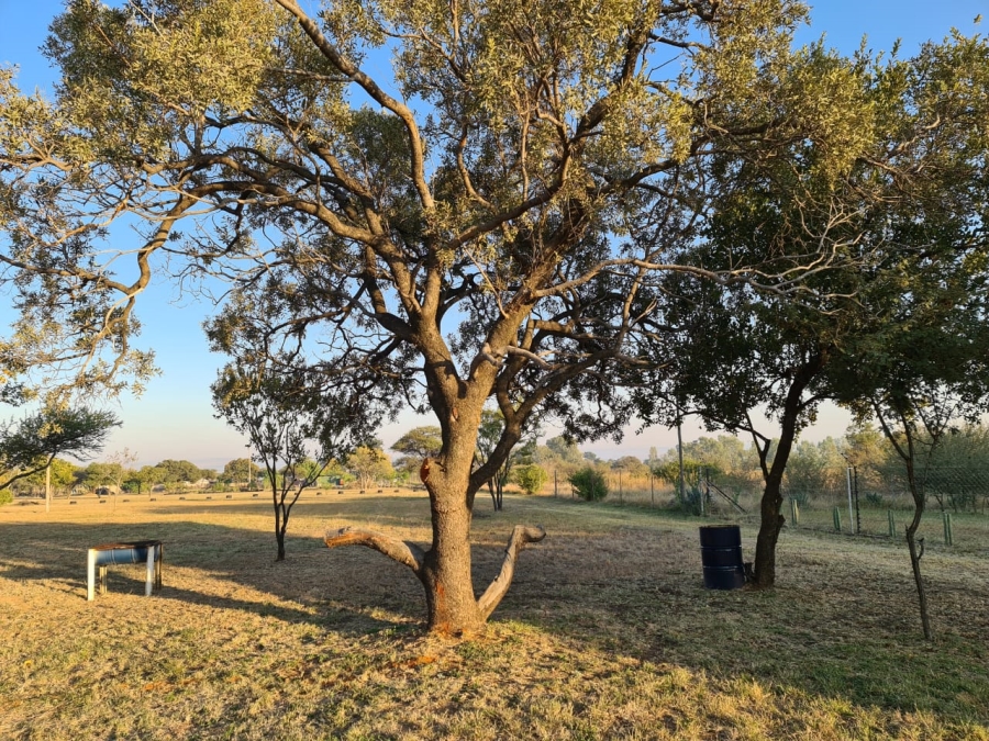 4 Bedroom Property for Sale in Grootvlei Mpumalanga