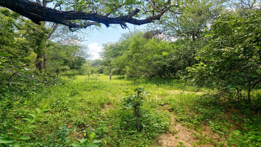 0 Bedroom Property for Sale in Marloth Park Mpumalanga