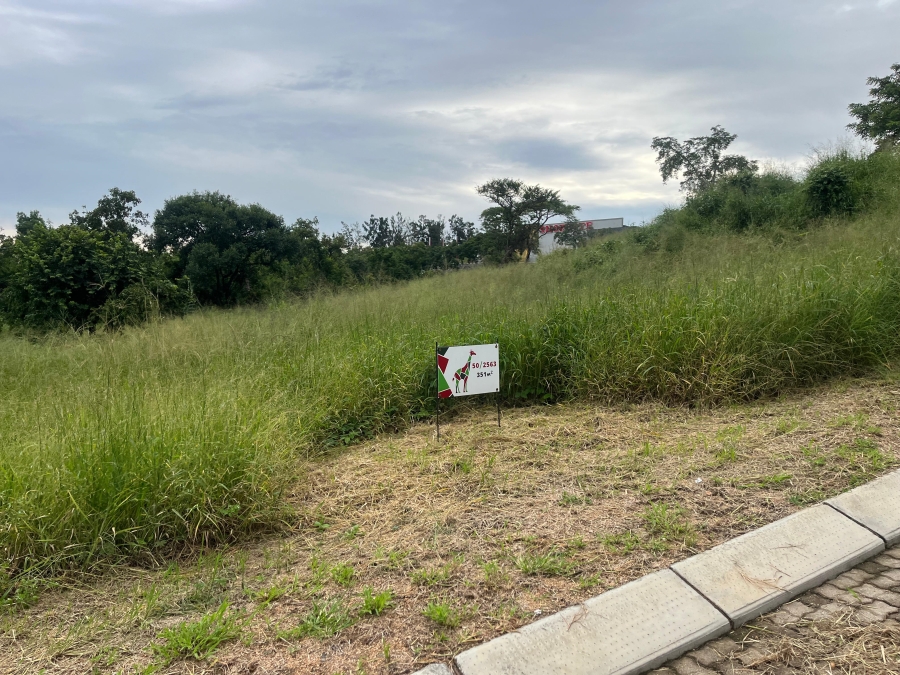 0 Bedroom Property for Sale in Kamagugu Mpumalanga