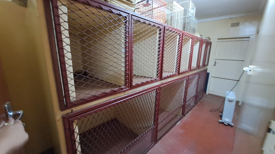 3 Bedroom Property for Sale in Balfour Mpumalanga