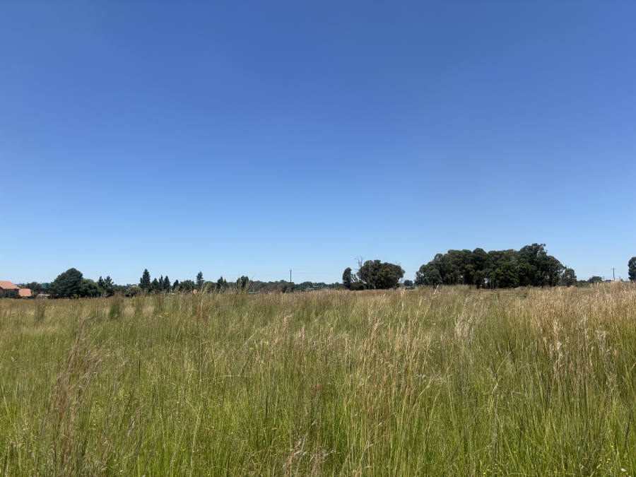 Commercial Property for Sale in Naaupoort Mpumalanga