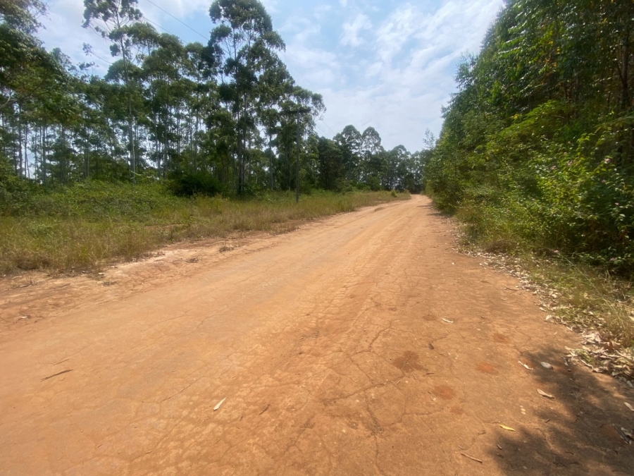 0 Bedroom Property for Sale in White River Mpumalanga