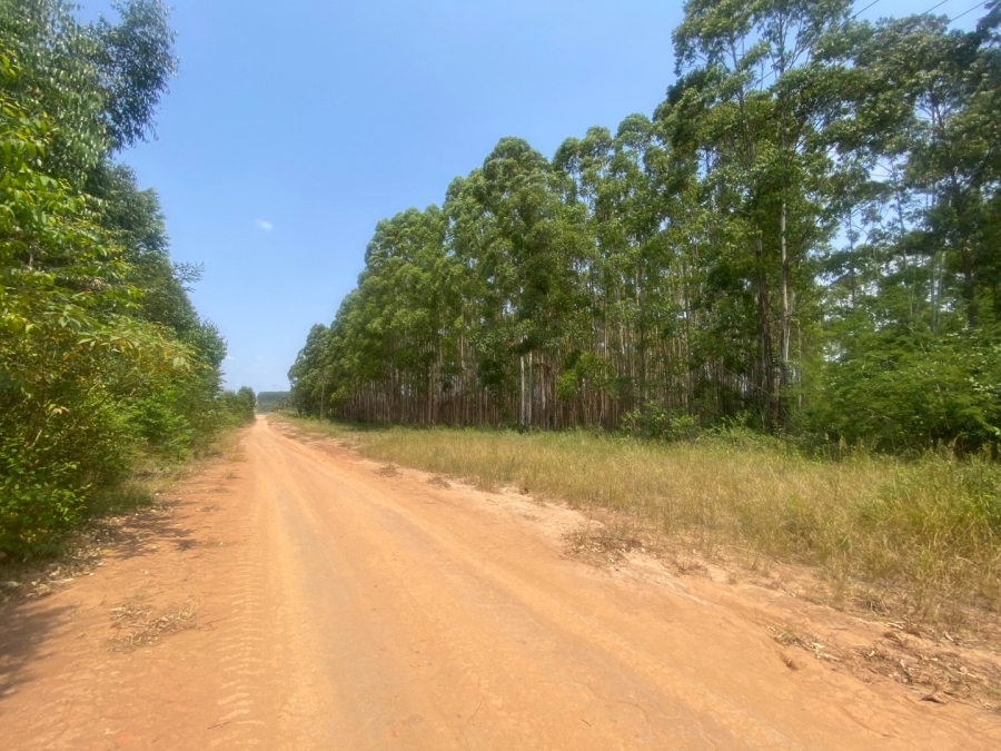 0 Bedroom Property for Sale in White River Mpumalanga