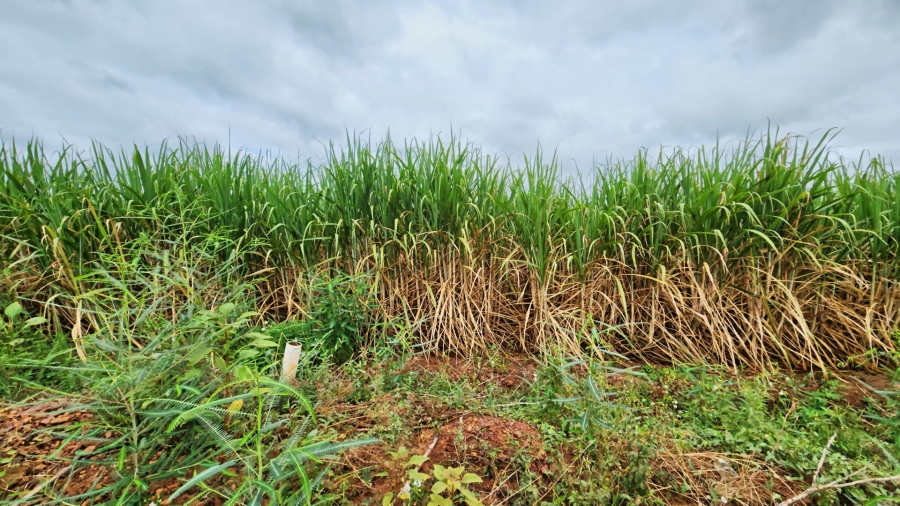 0 Bedroom Property for Sale in Malelane Mpumalanga