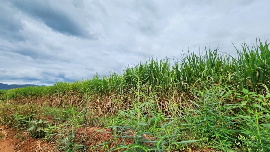 0 Bedroom Property for Sale in Malelane Mpumalanga