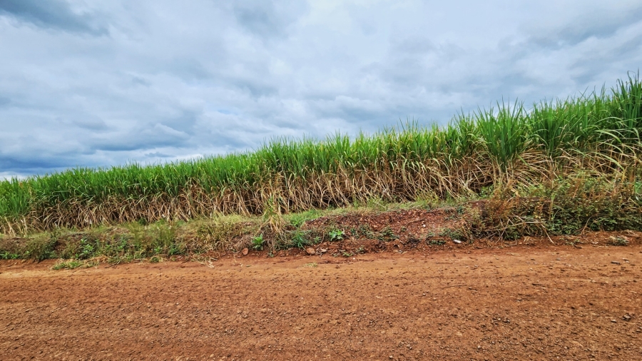 0 Bedroom Property for Sale in Malelane Mpumalanga