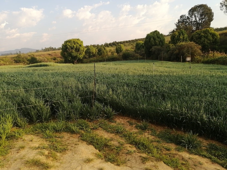 Commercial Property for Sale in Barberton Rural Mpumalanga