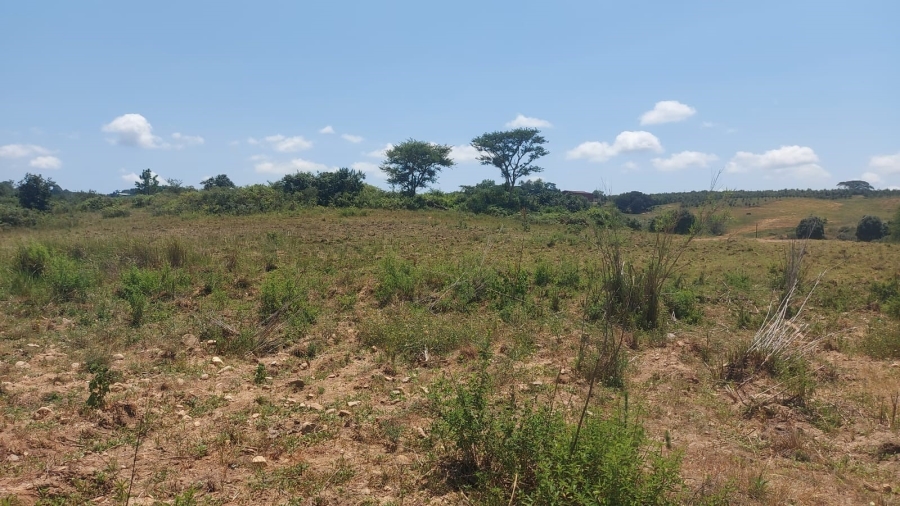 Commercial Property for Sale in Barberton Rural Mpumalanga