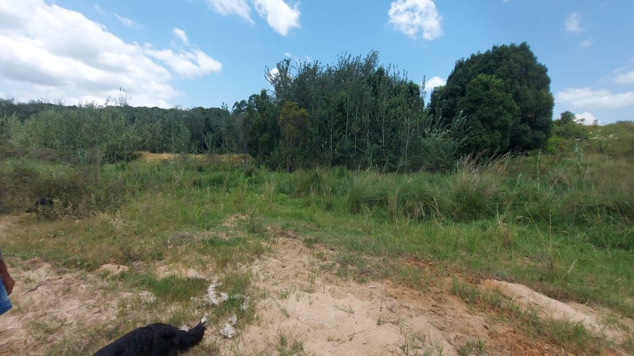 Commercial Property for Sale in Barberton Rural Mpumalanga