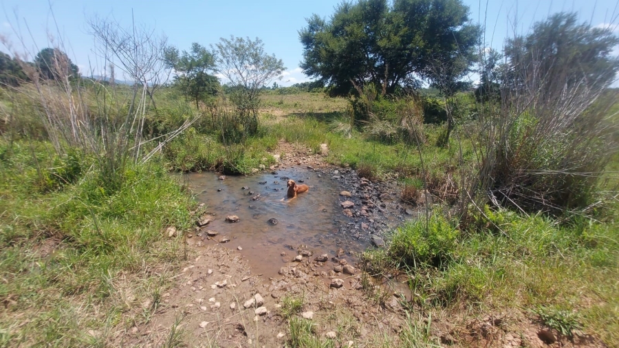 Commercial Property for Sale in Barberton Rural Mpumalanga