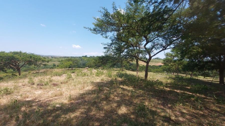 Commercial Property for Sale in Barberton Rural Mpumalanga