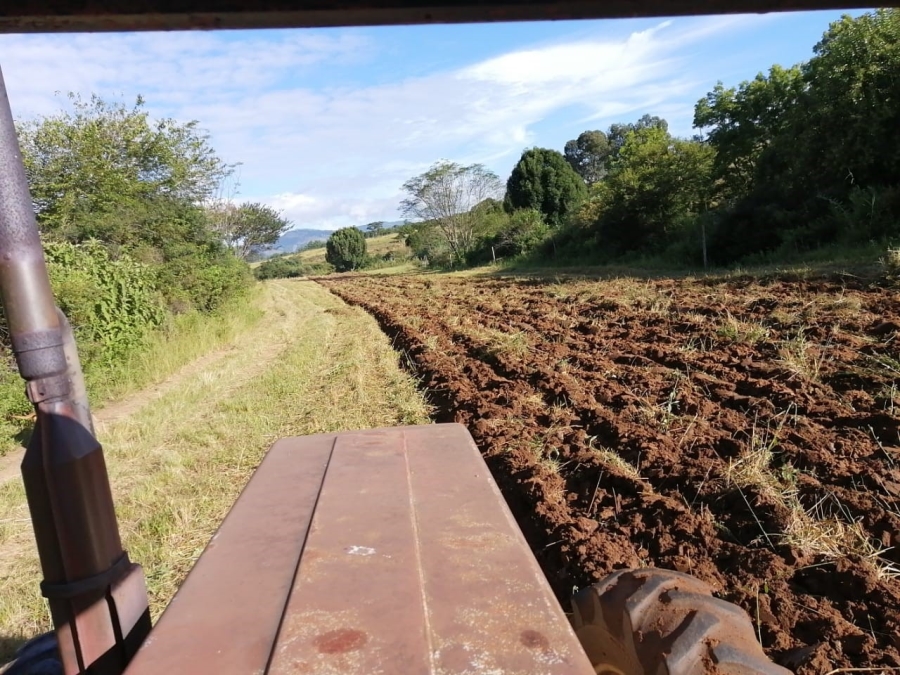 Commercial Property for Sale in Barberton Rural Mpumalanga