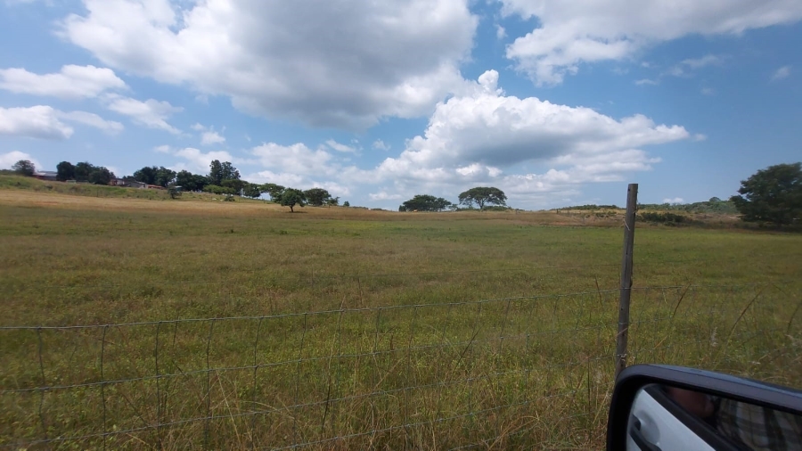 Commercial Property for Sale in Barberton Rural Mpumalanga