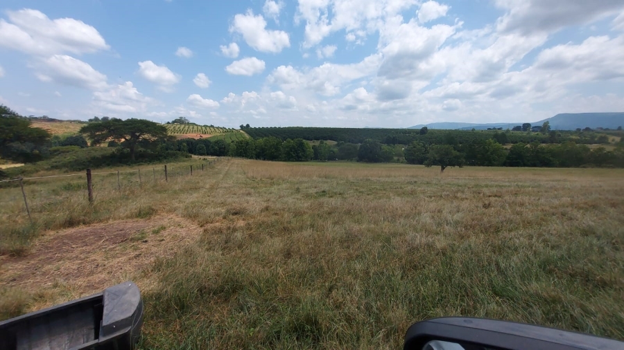 Commercial Property for Sale in Barberton Rural Mpumalanga