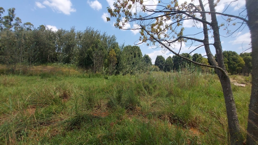 Commercial Property for Sale in Barberton Rural Mpumalanga