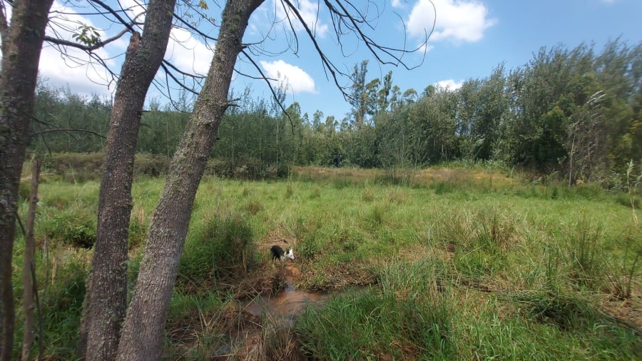 Commercial Property for Sale in Barberton Rural Mpumalanga