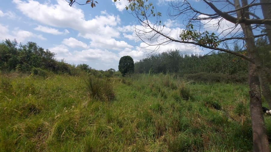 Commercial Property for Sale in Barberton Rural Mpumalanga