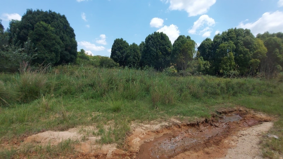 Commercial Property for Sale in Barberton Rural Mpumalanga